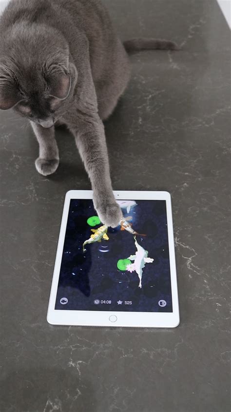 friskies cat game|Friskies® Brings More Feline Fun with the Reboot of Cat  .